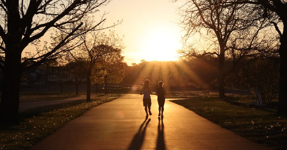 Coureur pratiquant un jogging à basse intensité au lever du soleil pour travailler sa zone 2 cardio